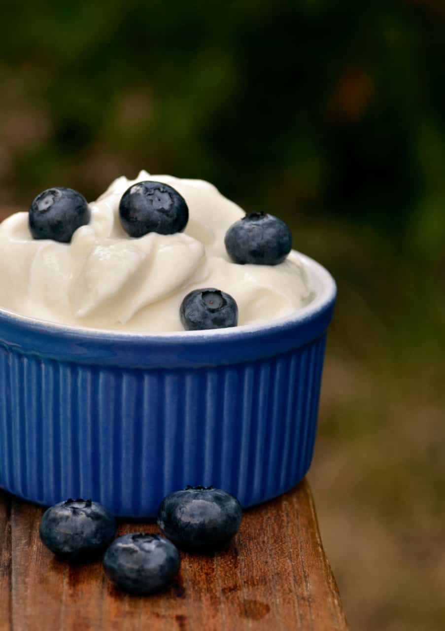 Can You Freeze Greek Yogurt? - BZIce Freezing Dictionary