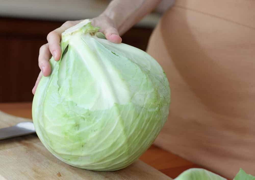 freezing cabbage raw