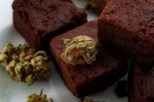 Can You Freeze Weed Brownies? Yes, But Here’s How to Do It Right