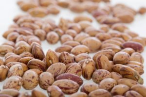 Can You Freeze Pinto Beans?