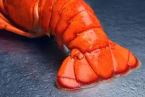 Can You Freeze Lobster Tails? Here Is How To Do It Right