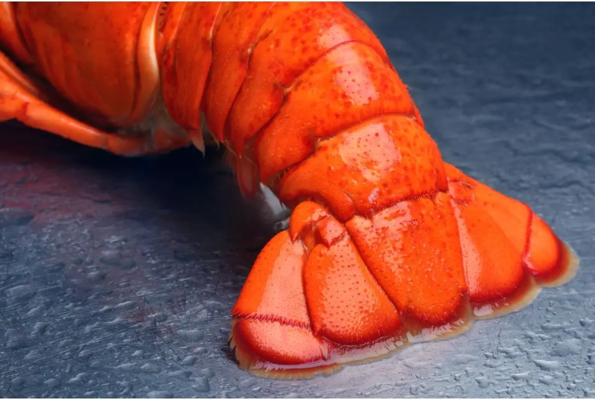 Can You Freeze Lobster Tails