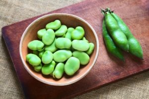 Can you Freeze Broad Beans?